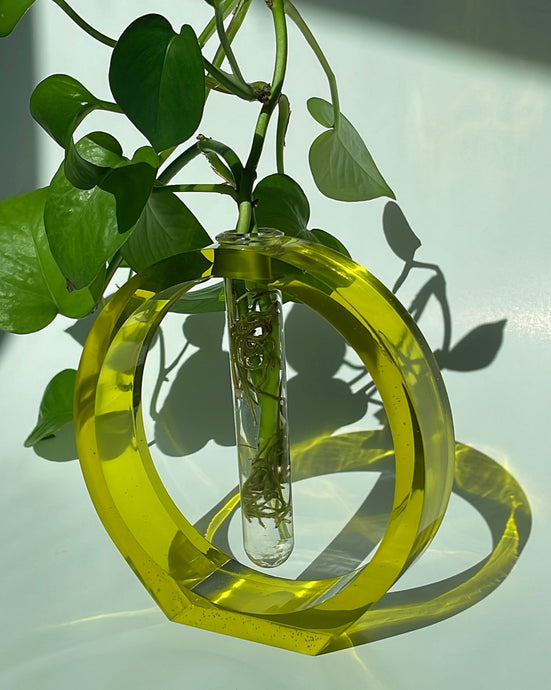 Circular Lime Jelly Vase
